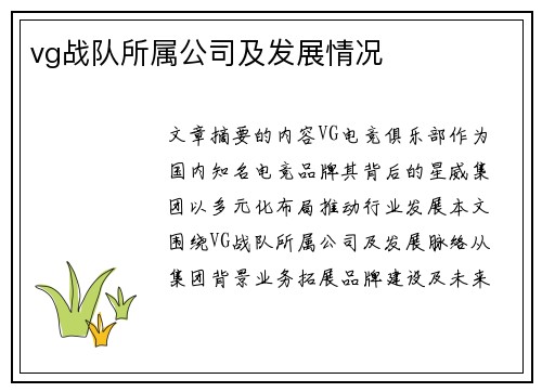 vg战队所属公司及发展情况