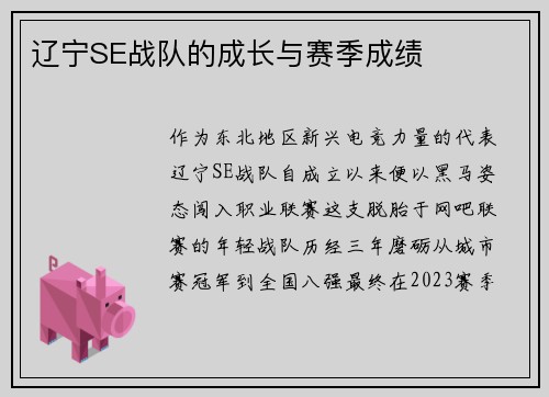 辽宁SE战队的成长与赛季成绩