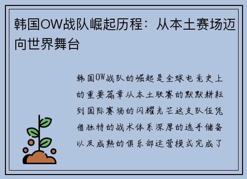 韩国OW战队崛起历程：从本土赛场迈向世界舞台
